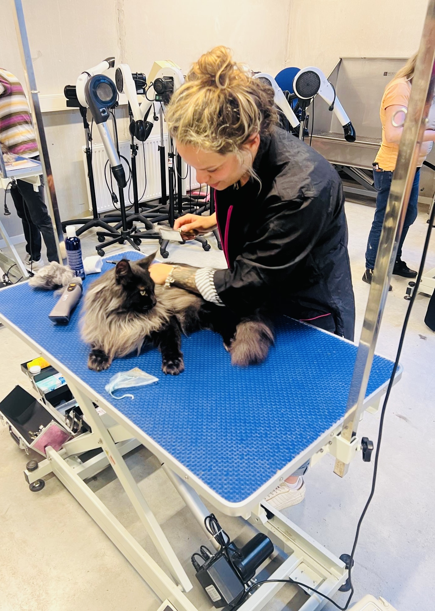 Trimsalon 't Spoortje