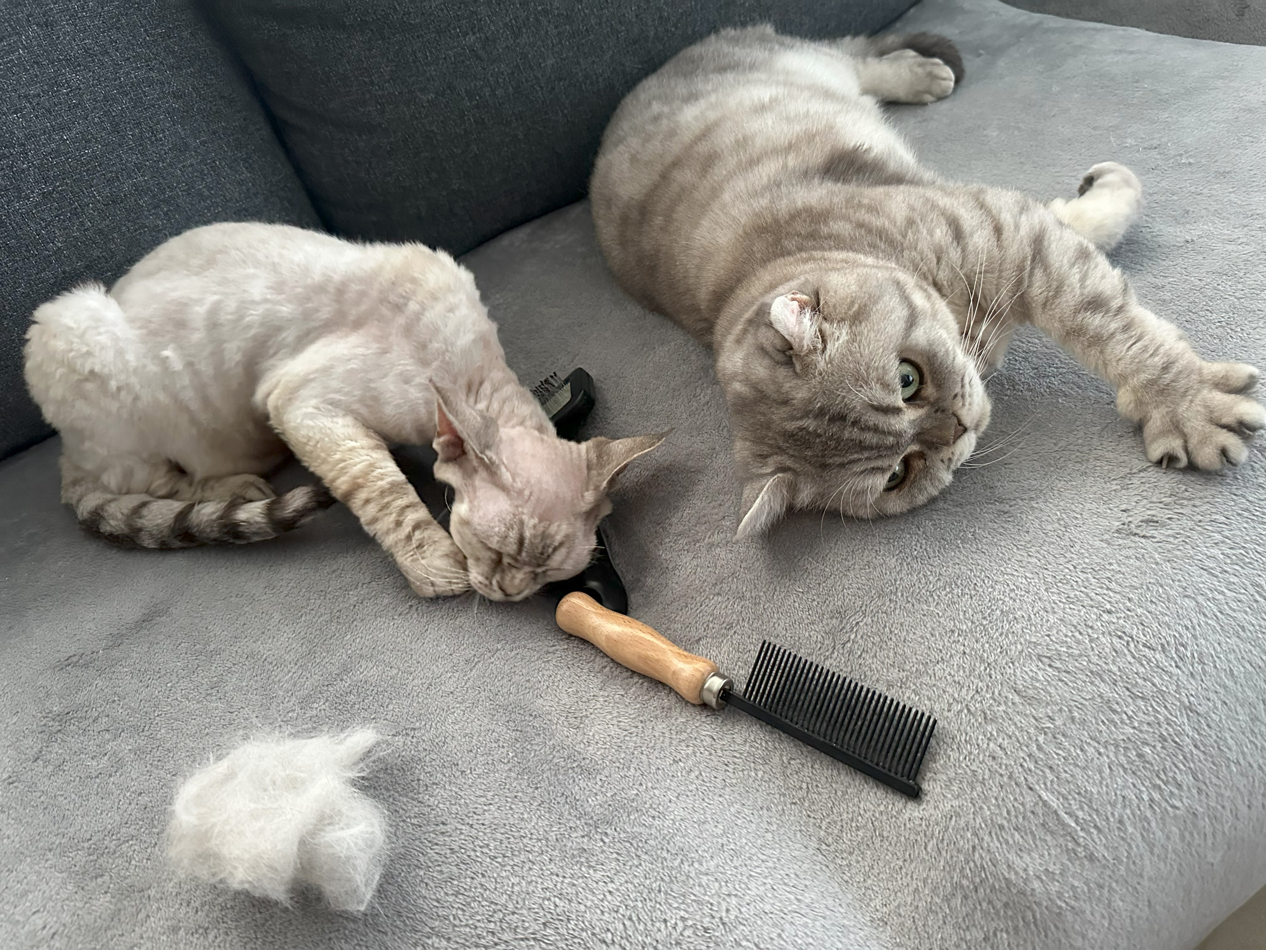 Trimsalon 't Spoortje