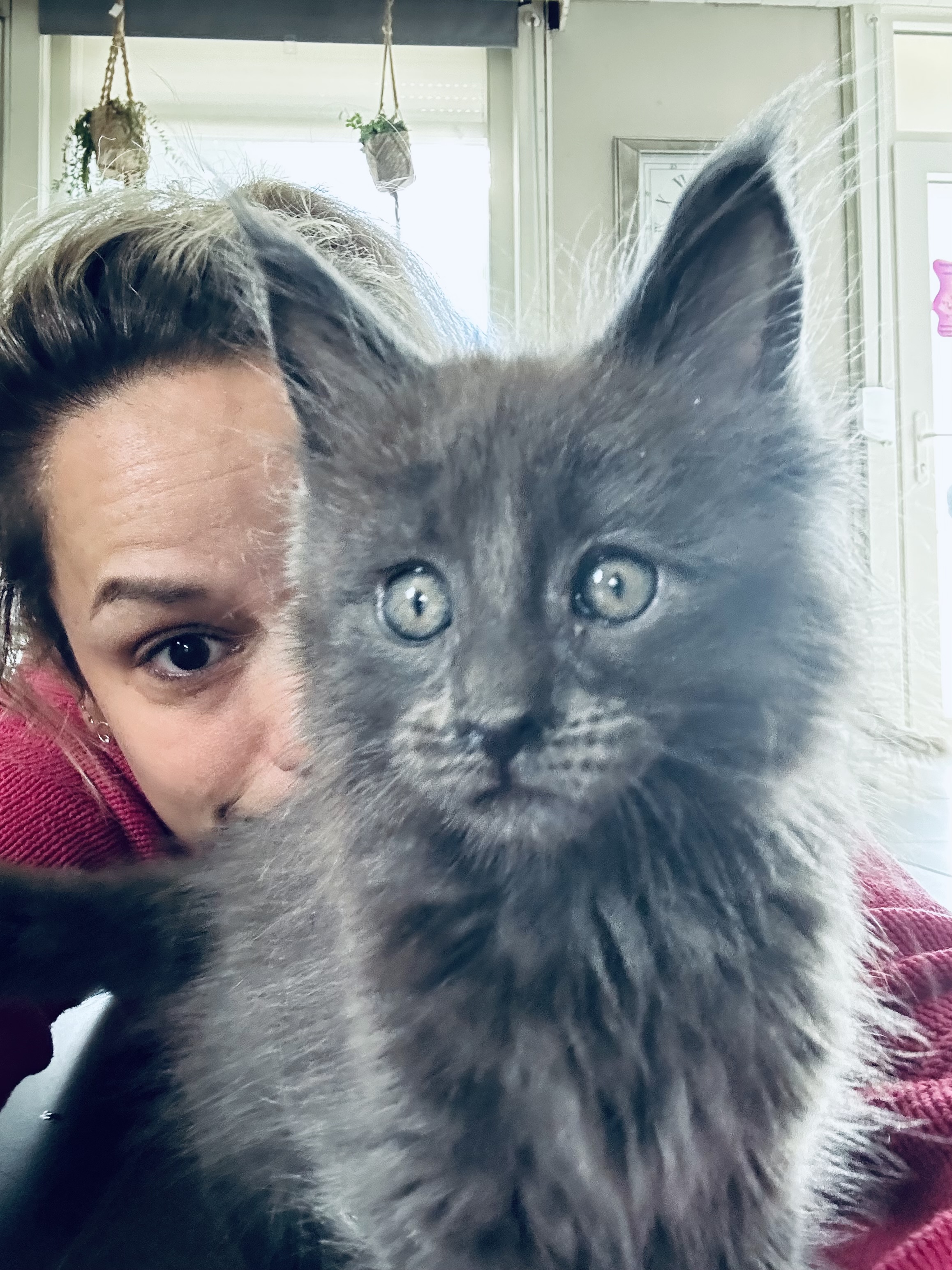 Nest 3 foto 4 - Cattery 't Spoortje