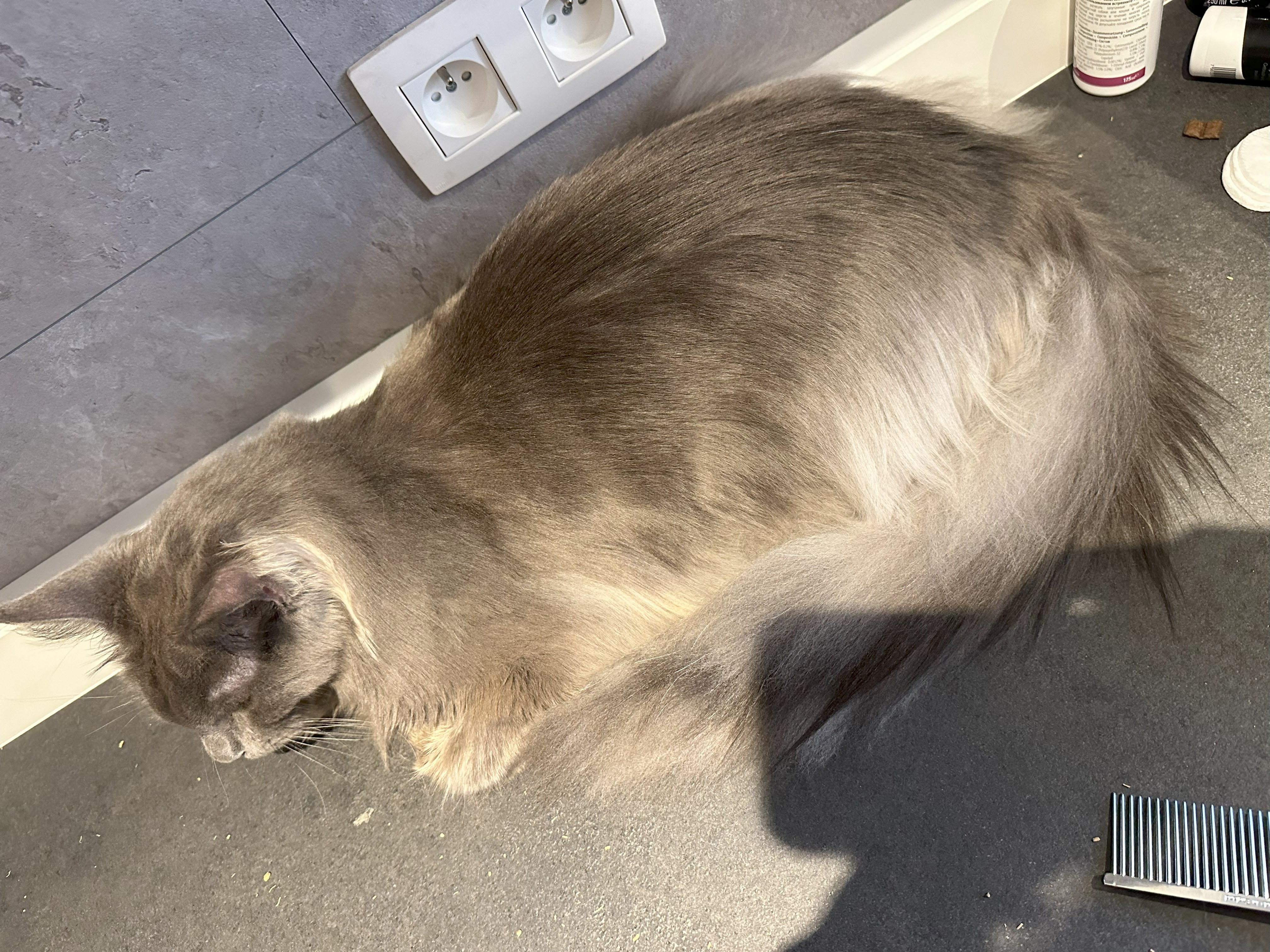 Trimsalon 't Spoortje