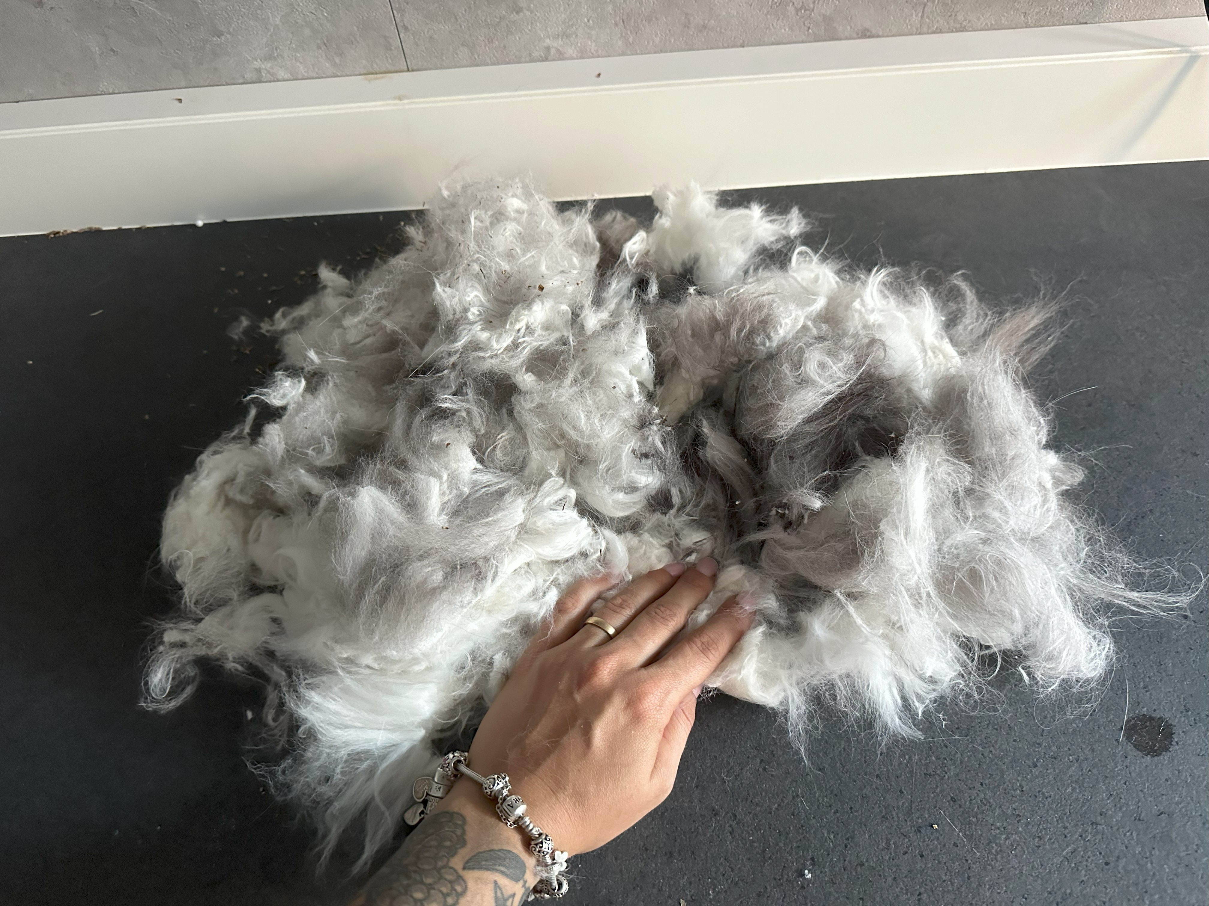 Trimsalon 't Spoortje