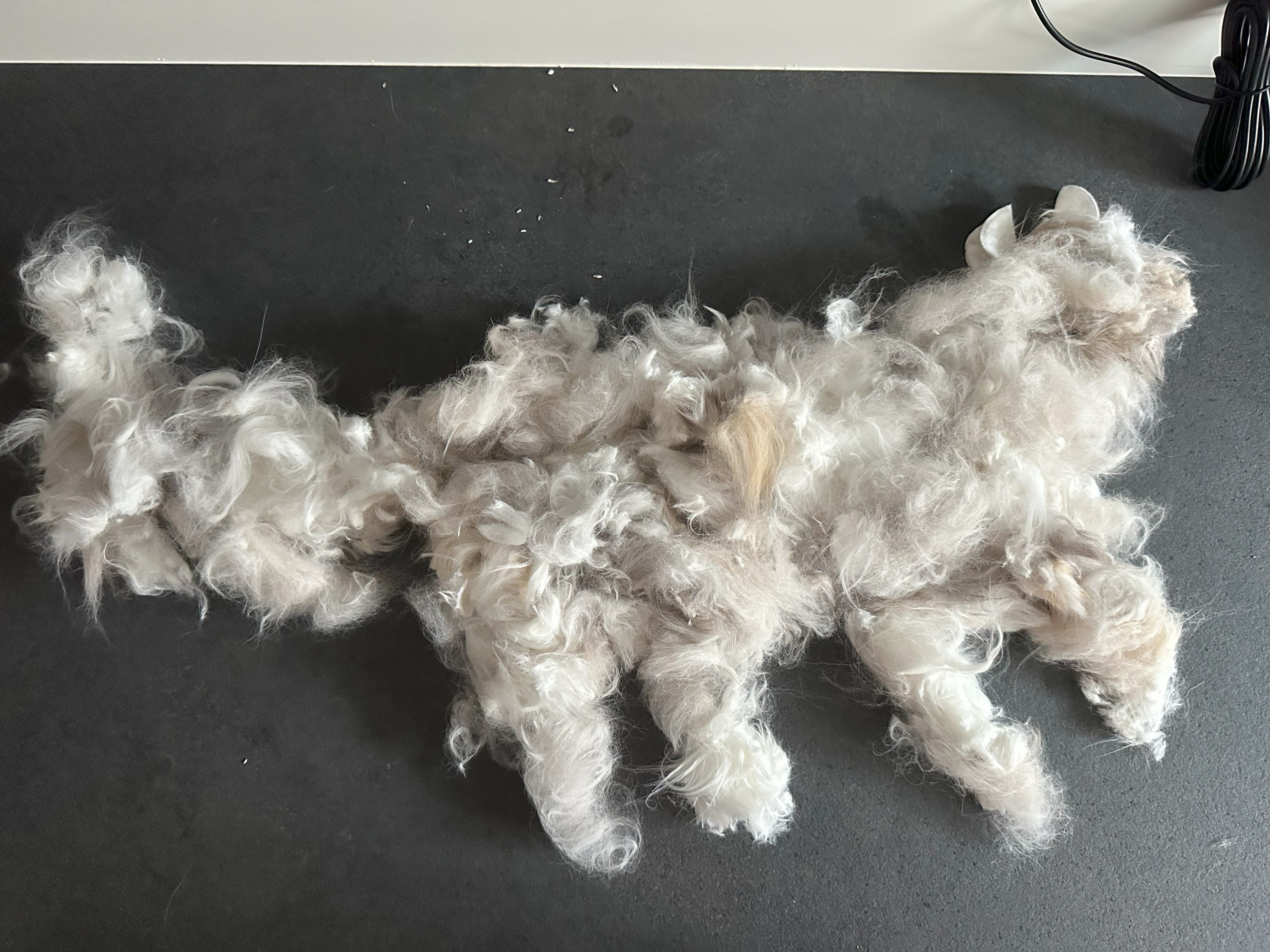 Trimsalon 't Spoortje